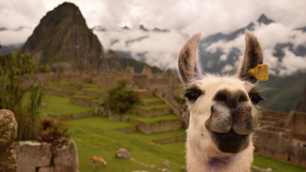 Vive la magia de Perú